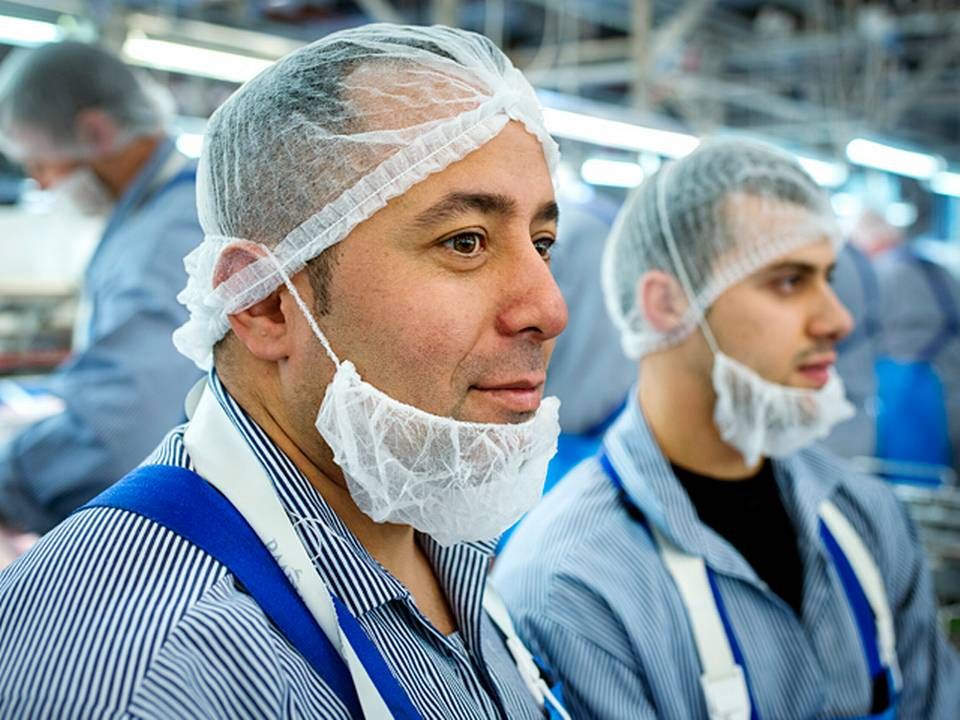 Nidal Josef Anf og Ahmat Shawa deltager begge i programmet på slagteriet i Blans. FødevareWatch kender ikke navnet på de tre personer, der nu er fastansatte. | Foto: Cicilie S. Andersen/Polfoto/Arkiv