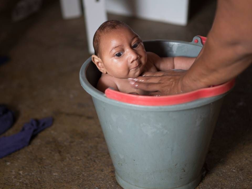 Den sjældne neurologiske udviklingsdefekt mikrocephali er ikke den eneste sygdom, som den tropiske virus Zika kan forårsage, viser et nyt studie. | Foto: Felipe Dana/AP/POLFOTO/arkiv