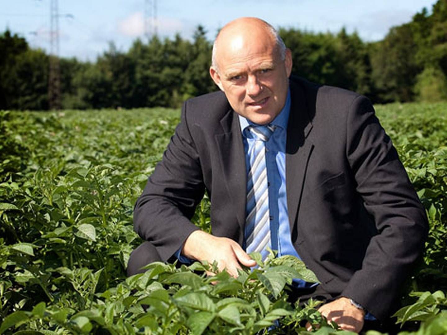 Den tidligere adm. direktør for den danske kartoffelproducent Danespo, Steen Bitsch.