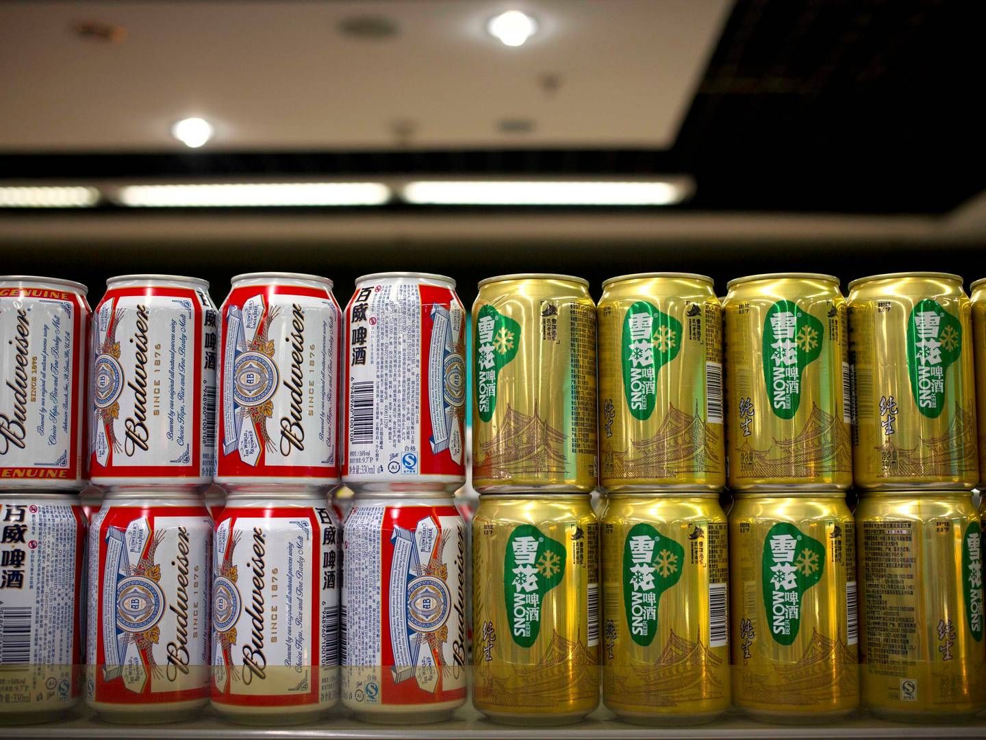 Især de yngre kinesere er glade for Budweiser-øllene, mens de ældre drikker Harbin. | Foto: Mark Schiefelbein/AP/POLFOTO/arkiv