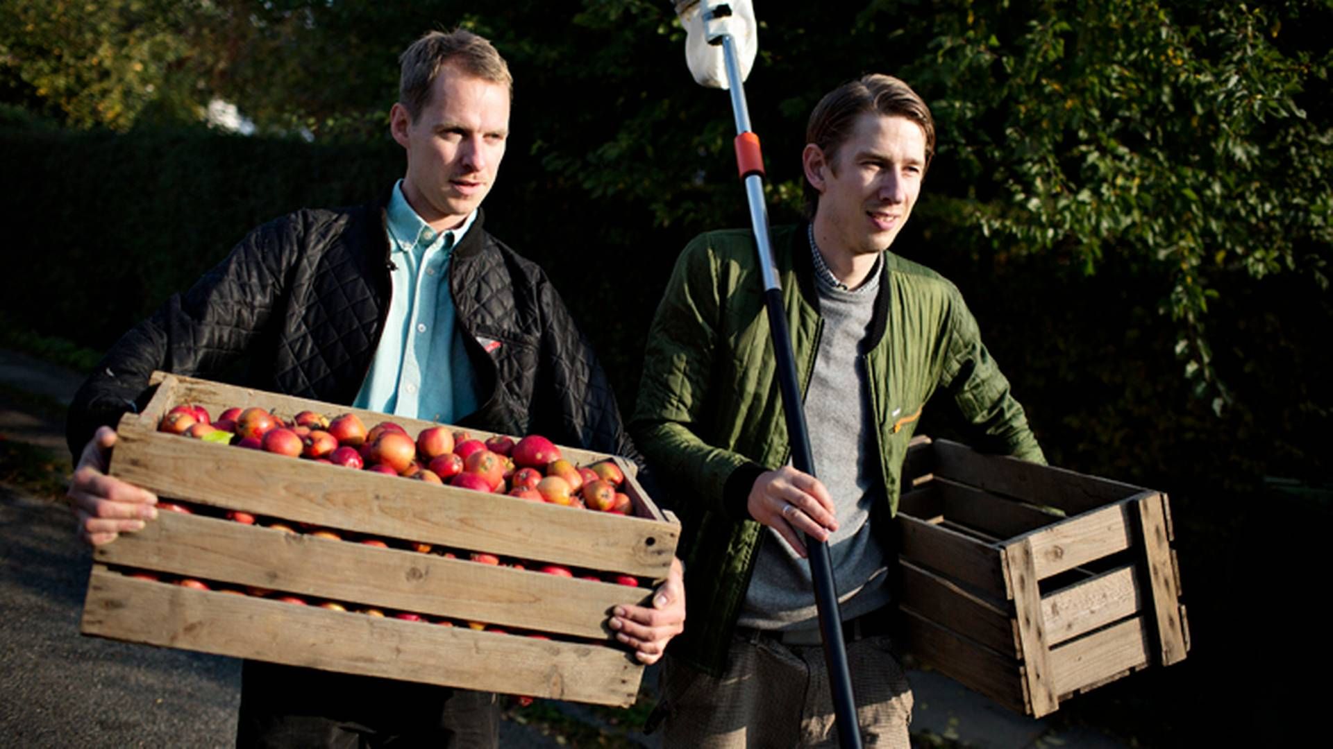 Christopher Melin og Morten Sylvest Noer er de to iværksættere bag cidervirksomheden Æblerov. | Foto: Martin Lehmann/Polfoto/Arkiv