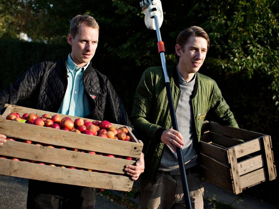 Morten Sylvest Noer og Christopher Melin står bag Æblerov, der blandt andet leverer cider til gourmetrestauranten Amass. | Foto: Martin Lehmann/Polfoto/Arkiv