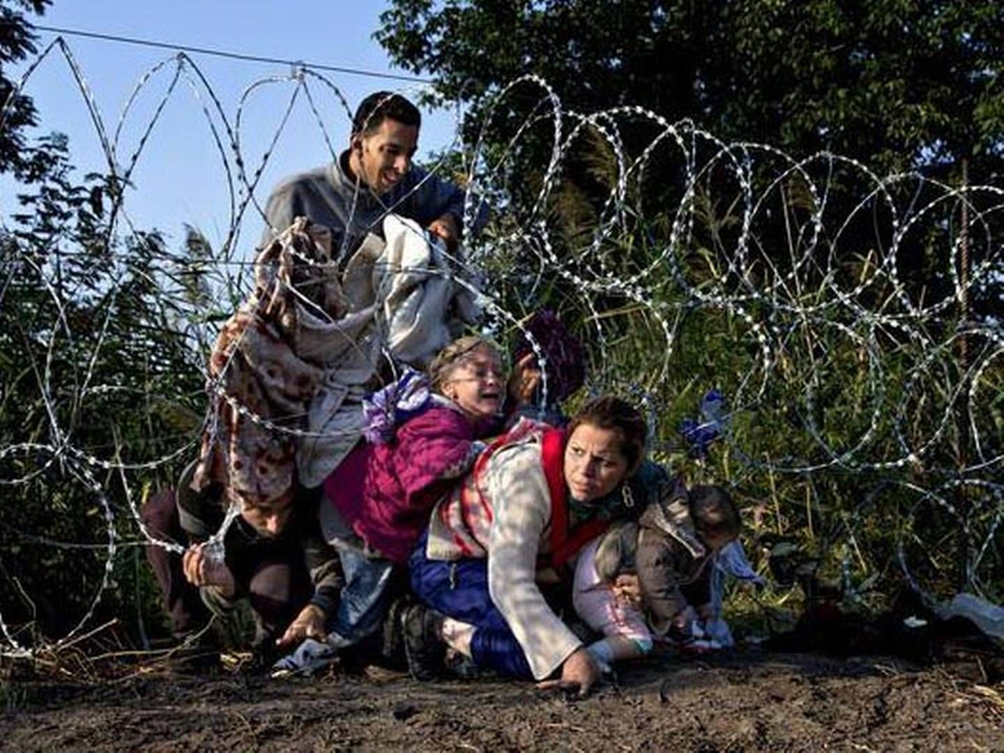 Årets Pressefoto er taget en tidlig augustmorgen 2015, hvor en flygtningefamilie forsøger at komme under et pigtrådshegn på grænsen mellem Ungarn og Serbien | Foto: Jacob Ehrbahn/Polfoto