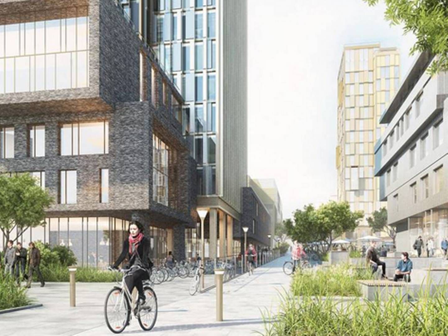 Et projekt for Katrinebjerg, der netop nu er i høring, inkluderer et langt strøg for cykler og gående i niveauforskydelser, højhuse, campus og private boliger. | Foto: PR-illustration