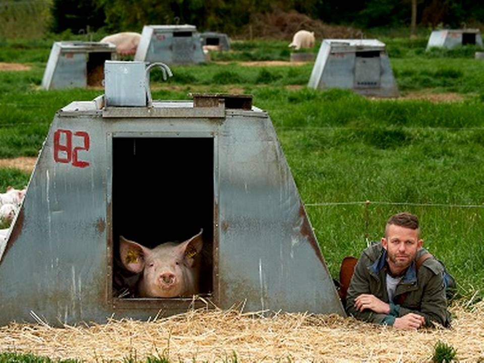 Landbrugspakken giver landmændene langt bedre muligheder for at levere kvalitetskorn. Nu indfører DLG et afregningssystem, som sikrer, at de landmænd, der leverer den bedste vare, også bliver belønnet for det. | Foto: Claus Bonnerup/Polfoto