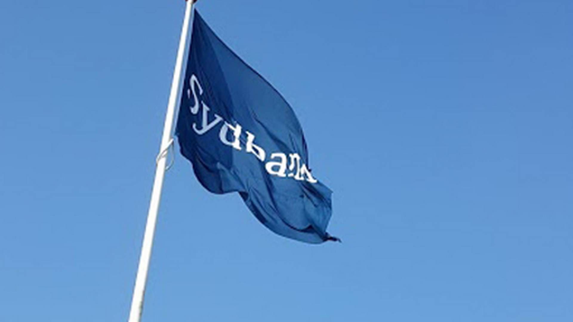Denmark's Sydbank has a thriving business in Germany, close to the bank's headquaters.