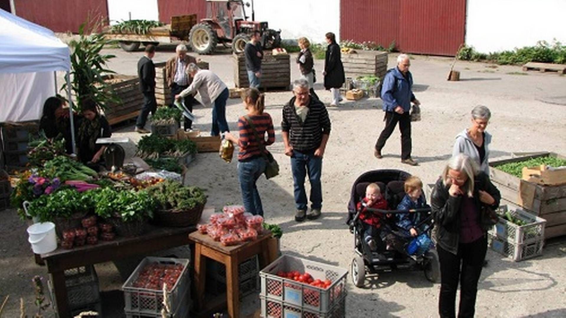 Økologisk høstmarked i Svanholm. | Foto: Smag På Nordsjælland.