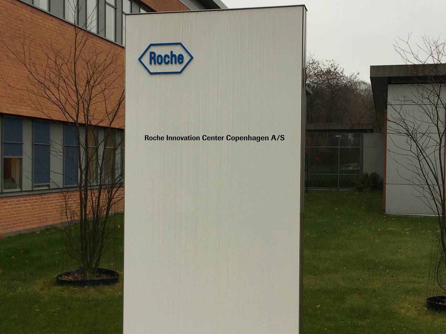 Roche Innovation Center Copenhagen has found a temporary replacement for the position as General Manager after Bo Rode Hansen left Roche in April. | Foto: Stefan Singh Kailay