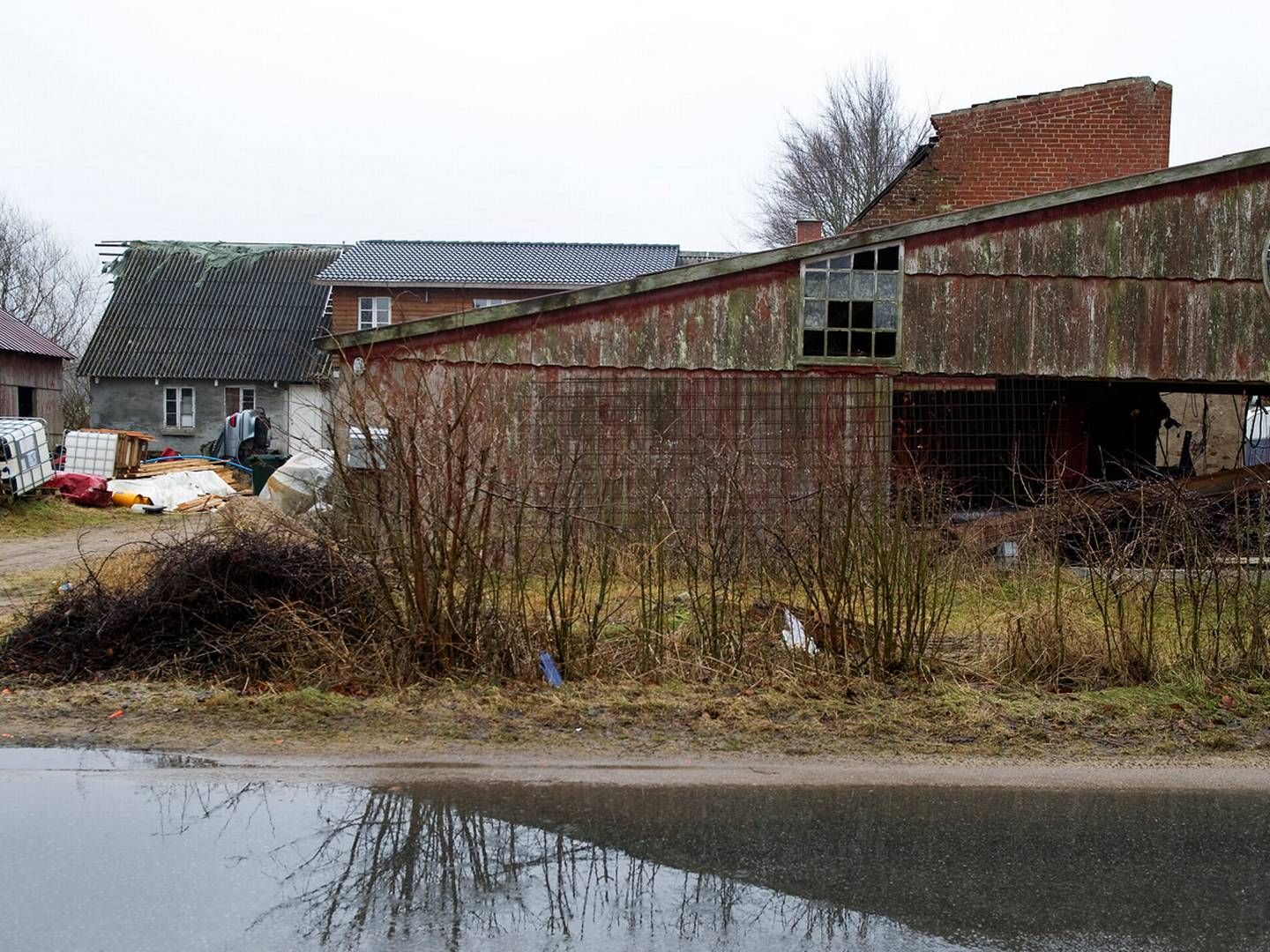 Mange landbrug er så hårdt pressede, at de burde blive solgt videre. Men markedet for landbrugsejendomme er sløjt. | Foto: Arkiv: Polfoto/Anita Graversen