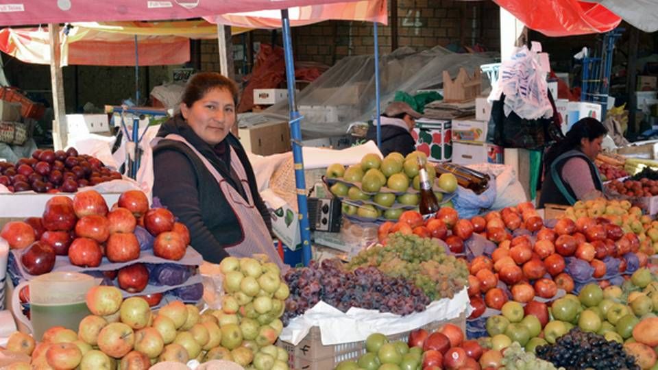 Maj Invest has via the fund Danish Microfinance Partners invested in the local bank BancoSol in Bolivia, which offers microfinancing loans to especially women to open their own businesses. Depicted is a fruit market in Bolivian capital La Paz. | Photo: Maj Invest/PR