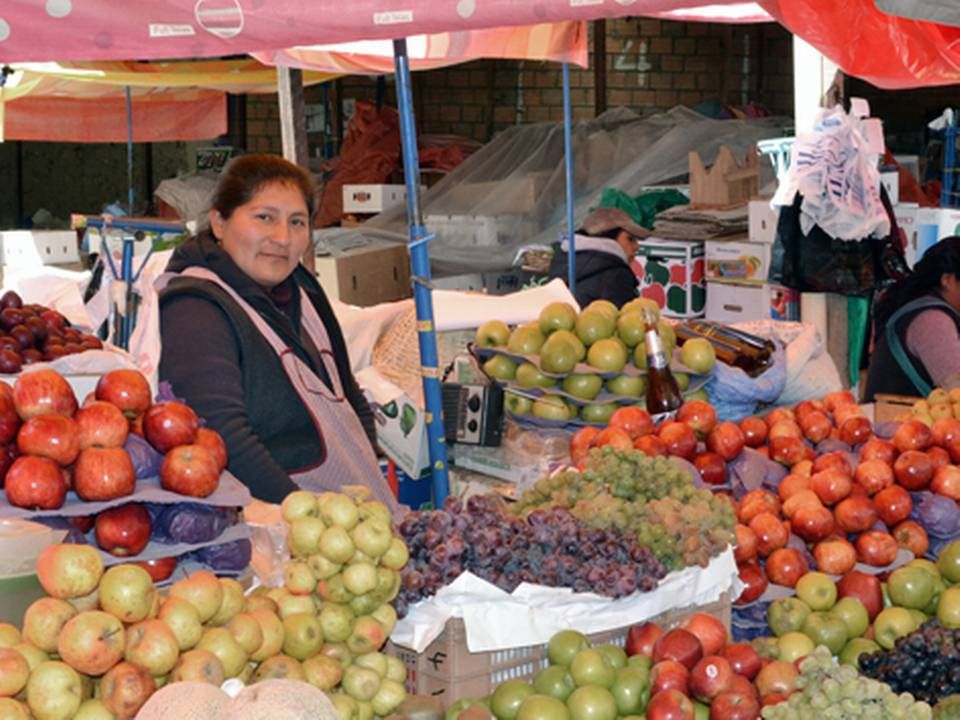Maj Invest har via fonden Danish Microfinance Partners investeret i den lokale bank BancoSol i sydamerikanske Bolivia, som tilbyder mikrofinansieringslån til især kvinder, der kan åbne deres egen virksomhed. Her er det et frugtmarked i Bolivias hovedstad La Paz. | Foto: Maj Invest/PR