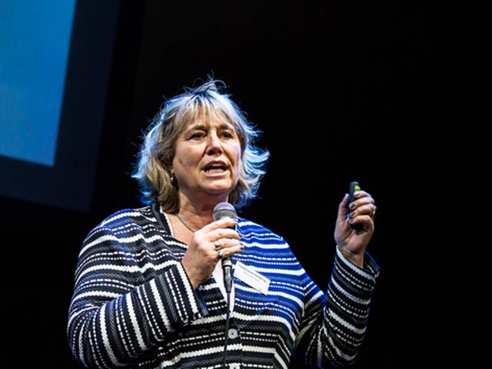 Marianne Wier, koncerndirektør i Topdanmark | Foto: NIELS HOUGAARD