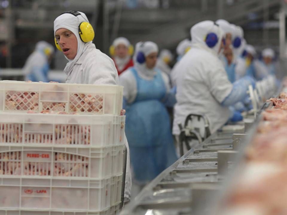 Brasilien eksporterer hvert år kød og frugt for milliarder af dollars. De to største kødproducenter er JBS og BRF. | Foto: /ritzau/AP/Eraldo Peres