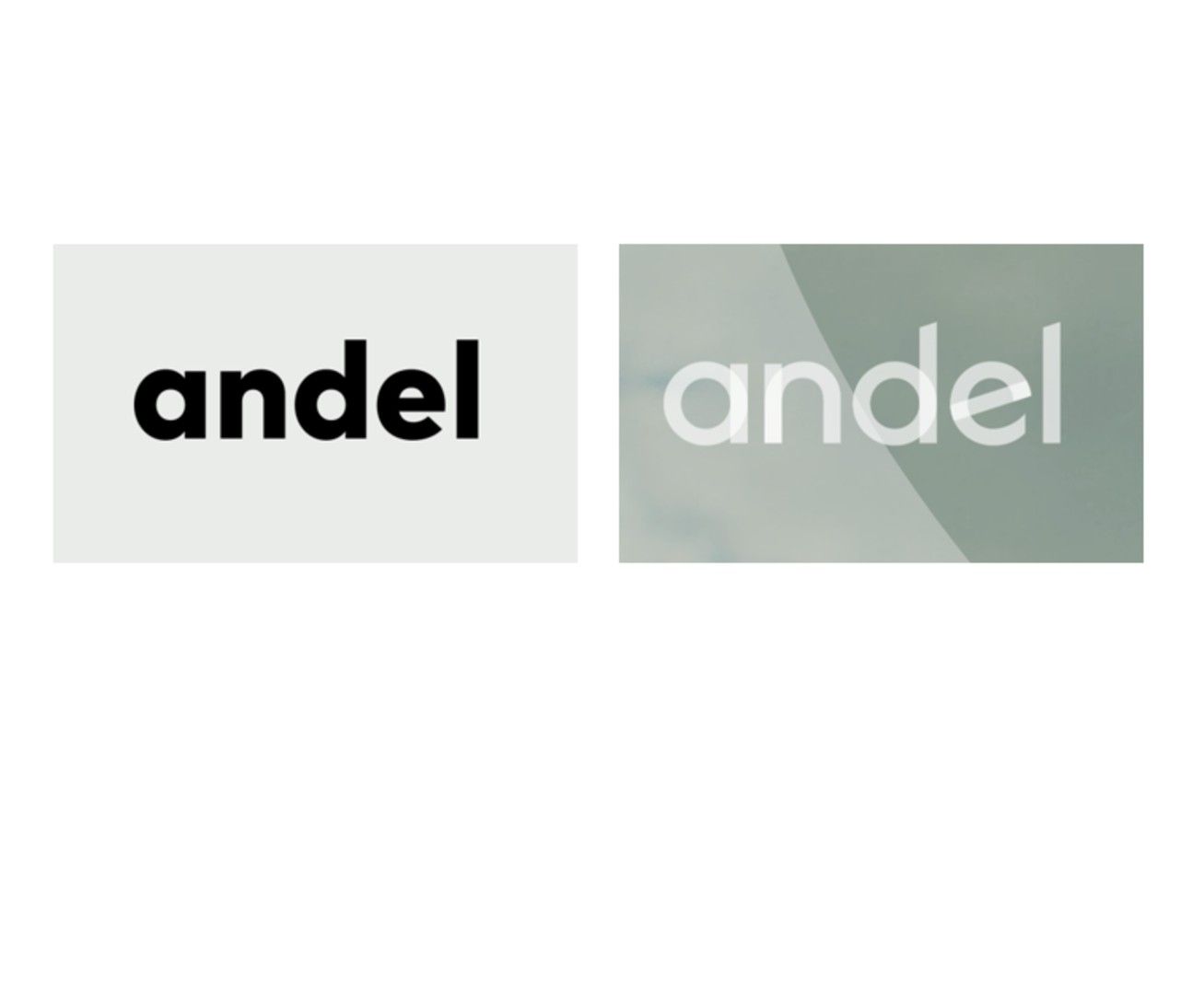 Det store danske energiselskab SEAS-NVE har skiftet navn til Andel. Der er bare et lille problem: Navnet Andel bruges allerede af et lille konsulentbureau, som hed Andel i forvejen. Er det et problem? Og hvordan og hvorfor brander det energiselskabet Andel?