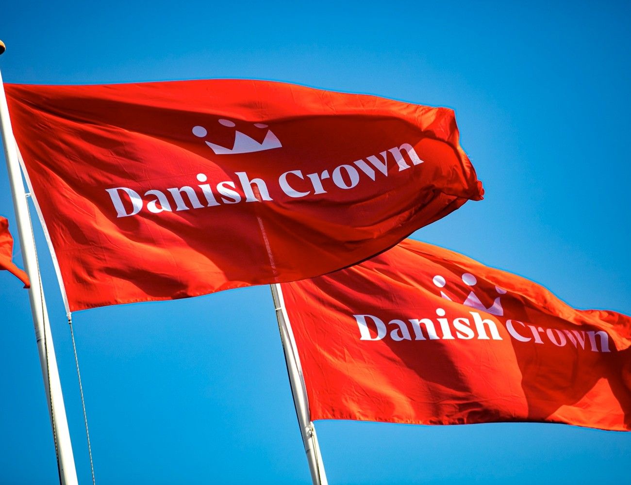 Retssagen om Danish Crowns grønne markedsføring ligger et stykke ude i fremtiden, men afgørelsen får betydning for, hvordan virksomheder kan kommunikere om bæredygtighed. Foto: Danish Crown / PR