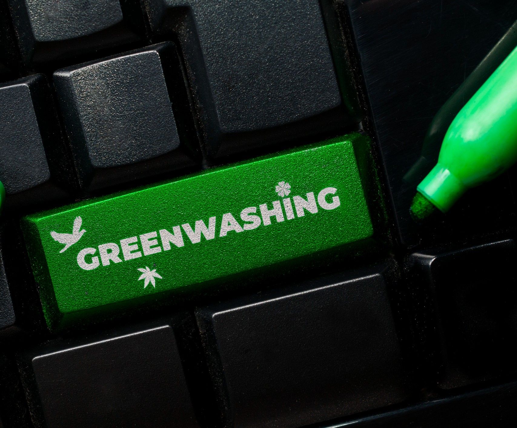 Forbrugerombudsmanden vil ikke længere bruge ordet greenwashing i pressemeddelelser efter kritik fra Salling Group. Foto: Getty Images