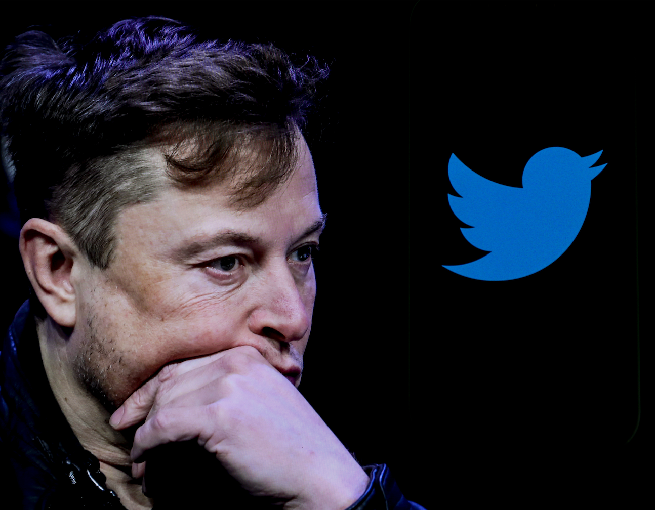 Fremtiden for Elons Twitter kan byde på meget forskelligt. Mest sandsynligt: meget større åbenhed. Flere fake news. Flere trolde. Men også færre bots. Færre fattige brugere. Mere hatespeech. Mere Musk selv. Alt i alt: ikke godt. Billede: Getty Images
