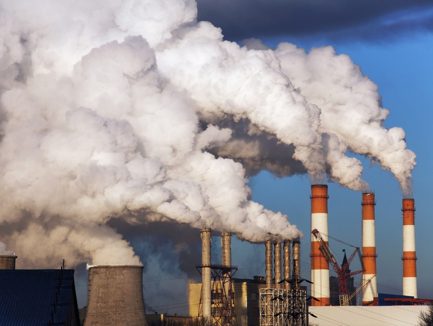 Alle virksomheder skal til klimaeksamen og kunne bestå den. Ellers risikerer forretningsmodellen at være truet. Foto: Getty Images